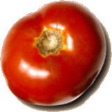 a tomato