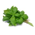 BASIL