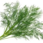 DILL