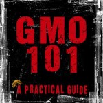GMO 05