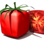 GMO Square Tomato