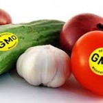 GMO Veggies