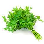 PARSLEY