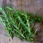 ROSEMARY