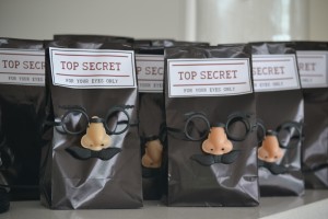 Spy Top Secret