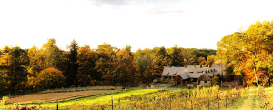Stone Barns Farm