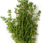 THYME